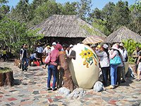 Tour Bình Châu Hồ Cốc 2 Ngày