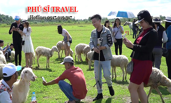 Tour Biển Lagi 1 Đêm 2 Ngày