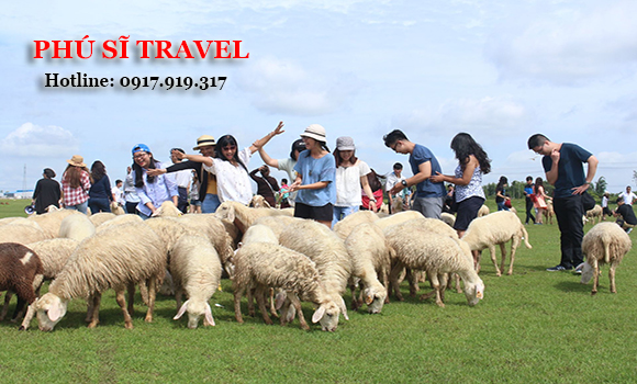 Tour Biển Lagi Hàm Tân