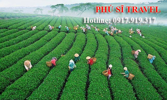 Tour Đà Lạt Mới Nhất