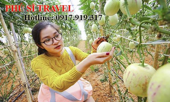 Tour Du Lịch Đà Lạt 2 Ngày