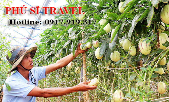 Tour Đà Lạt 3 Ngày 3 Đêm