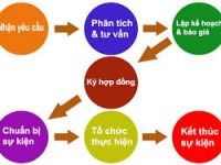 Quy Trình Tổ Chức Sự Kiện